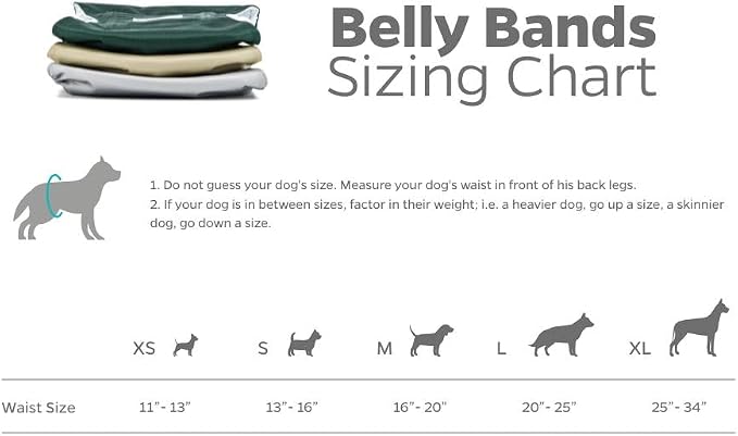 Pet Parents® Washable Belly Bands for Male Dogs (3pack) + Extendrs® of Durable Dog Diapers Male, Premium Male Dog Diapers & Dog Wraps (Medium, Spruce)