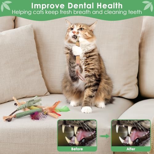 Bissap 16PCS Silvervine Chew Sticks, Catnip Chewing Toy for Cat Kitten