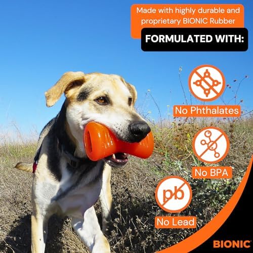 BIONIC Bone Dog Toy for Dogs Between 15-35 lbs, Medium