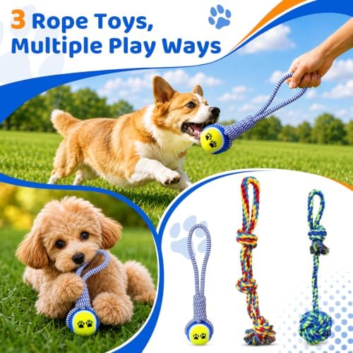 Tether Tug Outdoor Dog Toy Spring Pole, 3 Ropes for Tug of War