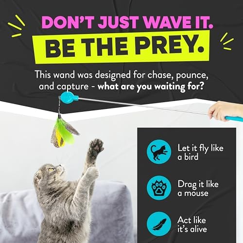 Jackson Galaxy Gotcha! Cat Wand Toy, Interactive Feather Teaser for Cats