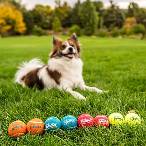 Outward Hound Squeaker Ballz Tennis Ball Dog Toy, Small, 2", 8‑Pack