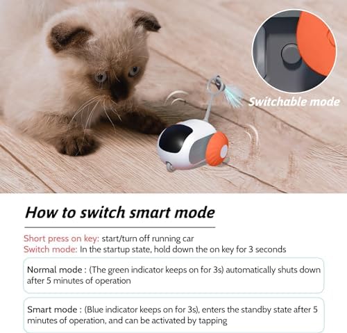 Remote Control Smart Cat Toy, Interactive Cat Toys for Indoor Cats