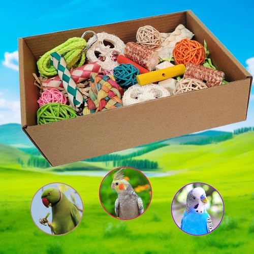 Bird Toys，Colorful Parrot Foraging and Tearing Toy Box