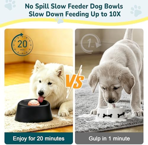 Slow Feeder Dog Cat Bowl for Liquid Treat,Wet Food