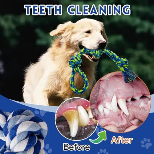 WDZZHOT [3 Pack] Dog Rope Toys for Large and Medium Aggressive Chewers, Nearly Indestructible Rope Chew Toys, Heavy Duty 100% Cotton Tug of War Dog Toy for Boredom, Teeth Cleaning