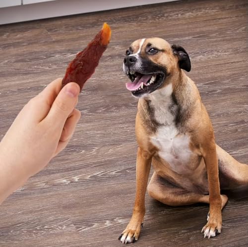 Golden Rewards Duck Wrapped Sweet Potato Dog Treats Grain-Free, No Artificial Colors or Flavors, No Corn or Soy, with Bone Waste Bag Dispenser and Roll (16 oz)