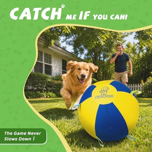 22" Herding Ball for Dogs with Straps & Training Whistle