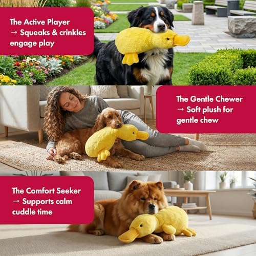 PetLou Colossal Durable Squeak 15-inch Promo Platypus Dog Toys -Durable Fabric -Tough and Reliable for Aggressive Chewers