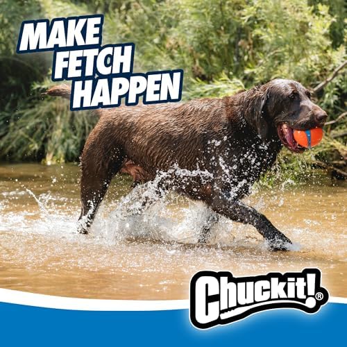 Chuckit! Ultra Ball Dog Toy, Size XXL, 4-in Diameter, for Dogs 100+lbs