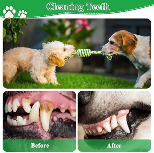 ASOCEA 5 Pack Cotton Rope Toys for Puppy Teething Small Dogs Green