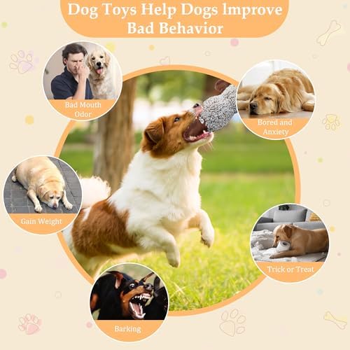 Squeaky Dog Toys, Stuffed Large Dog Toys to Keep Them Busy, Interactive Plush Chew Toys with Crinkle Paper, Tough Pet Animal Toys for Small Medium Large (2pack)