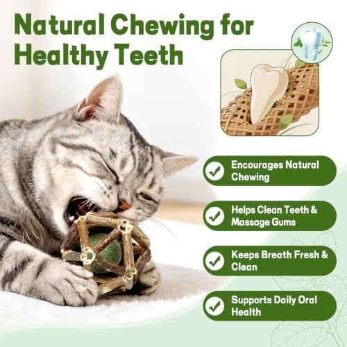 Silvervine Cage Balls Cat Chew Toy with Catnip, 3 Pack