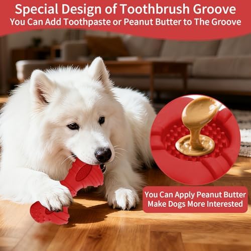 Natural Rubber Dog Chew Toys 4 Pack Tough Dog Toys for Aggressive Chewers