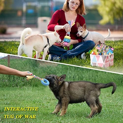 Puppy Chew Toys - Interactive Teething Dog Rope Toy & Balls for Small Dogs