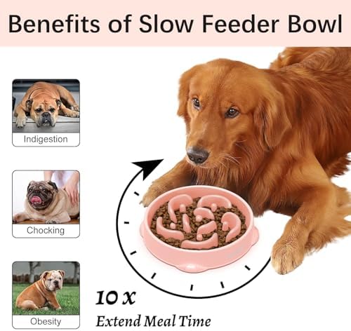 MateeyLife 2-Pack Slow Feeder Dog Bowls, 4 Cups, Dog Puzzle Feeder Bowl