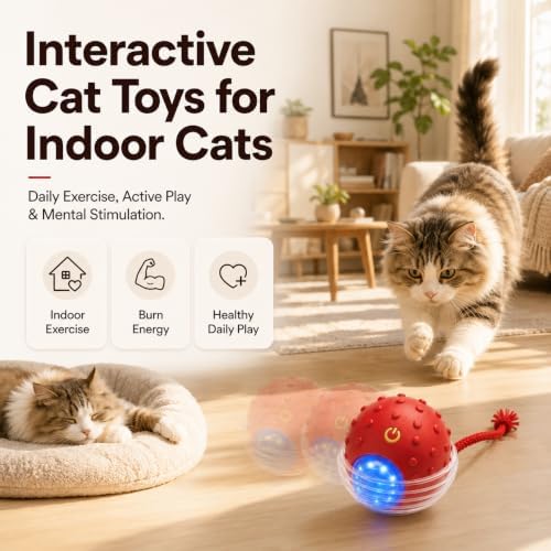 Interactive Rolling Cat Ball, Motion Activated Automatic Cat Toy