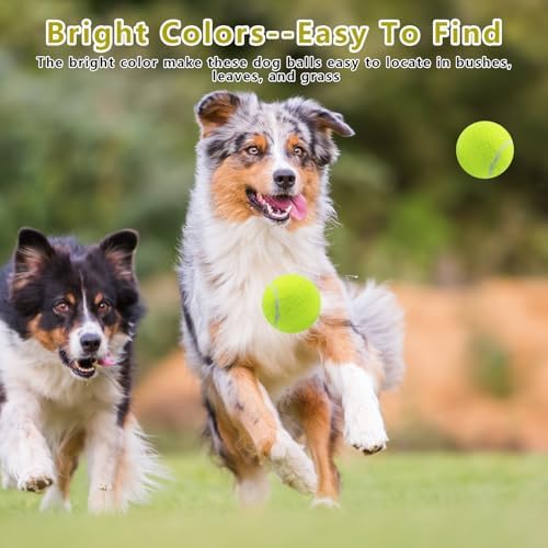 Magicorange Dog Tennis Balls, 6 Pack 2.5 inch Squeaky Tennis Balls