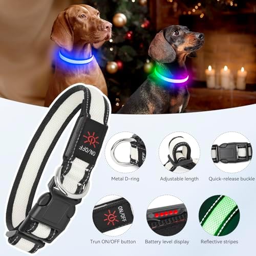 Flashseen Multicolor LED Light Up Dog Collar, RGB 9-Mode, USB Rechargable
