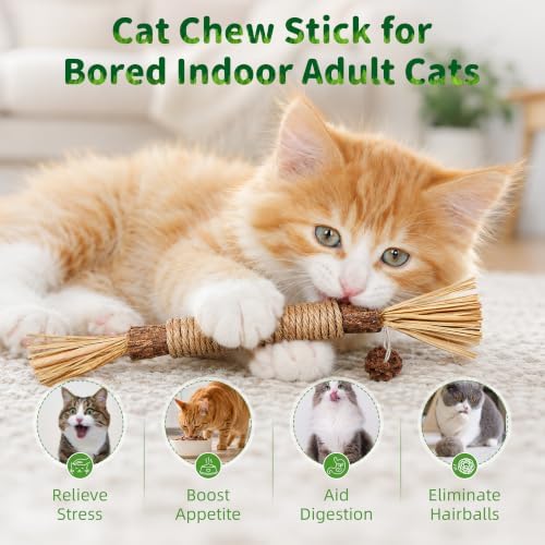 GBSYU Silvervine Sticks Cat Kitten Chew Toys for Indoor Cats Teeth Cleaning