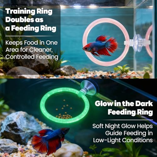 Betta Fish Toys, 1 Betta Fish Tunnel Hammock, 1 Fish Mirror with Floating Ball & 2 Exercise Training Ring Toys, Betta Fish Tank Accessories