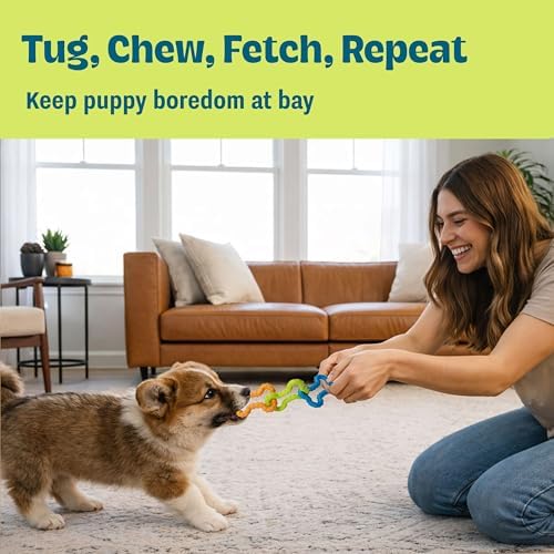 Bone Tugz Dental Dog Chew Toy, Floppy & Textured, 6.3"