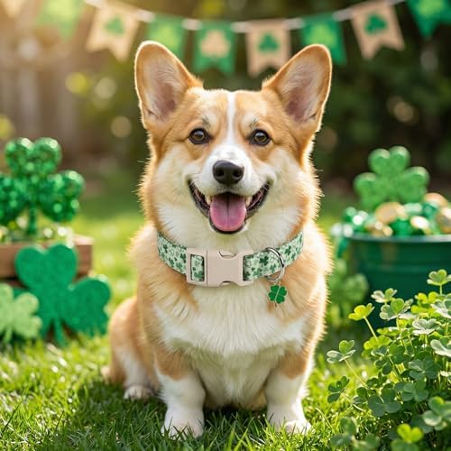 Spring Dog Collars for Medium Dogs, Green Dog Collar with Green Clover Pattern, Medium Girl Boy Pet Collar with Spring Summer Design, M