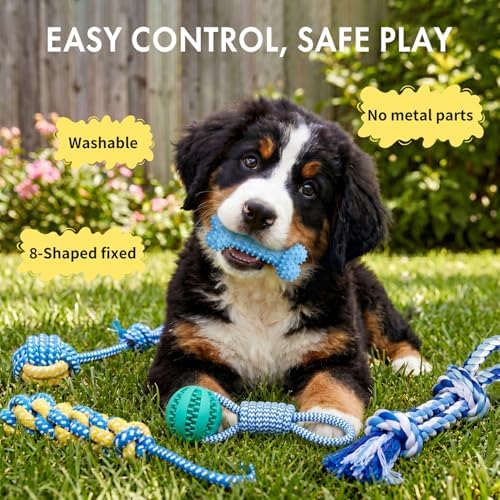 Flirt Pole for Dogs Heavy Duty - Upgraded 33" Detachable Dog Pole Toy with 5 Varied Lures, Includes XL Carry Bag