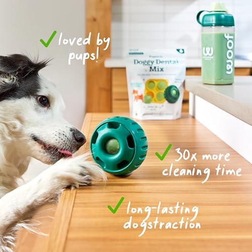 Woof Doggy Dental Pupsicle Mix - Dog Teeth Cleaning Powder for the Pupsicle - Long Lasting Postbiotic Dental Enzyme Mix to Support Oral Health for Dogs