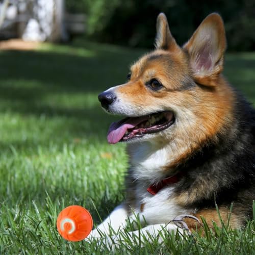 MILEDY 2PCS Shaky Ball for Dogs, Shaky Ball Toy for Dogs, Vibrating Dog Ball, Vibrating Ball for Dogs, Shaky Ball Moving Dog Toy, Automatic Moving Dog Toy Ball, Suitable for All Dogs (Orange+Blue)