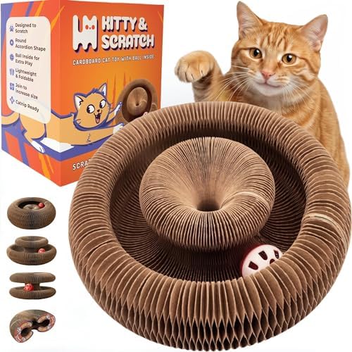 Kitty&Scratch Cat Scratcher Toy | Cardboard Cat Toy with Ball Track with Bell | Kitty Kurlz | Kitty Curls Style Accordion Toy | Expandable Reversible Cardboard Scratcher for Cats & Kittens