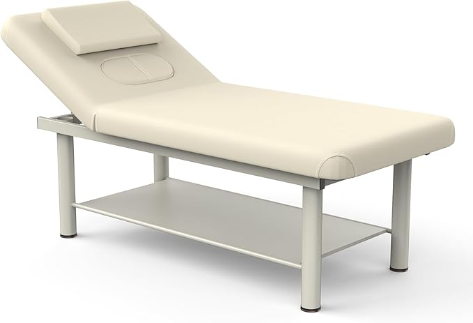 Professional Stationary Massage Table with Adjustable Backrest, PU Leather, Removable Headrest, Metal Frame, Heavy-Duty Spa Bed | Physical Therapy Facial Salon Tattoo Bed - 31.5'' W x 75'' L