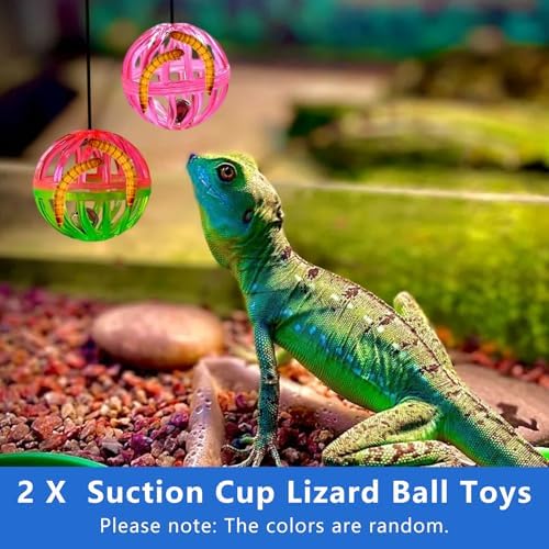 7 pcs Breaded Dragon Toys Set, Lizard Feed Balls Enrichment Toy Skateboard