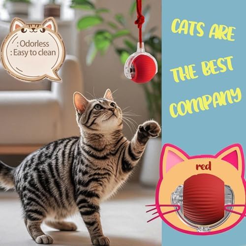 KumCinn Interactive Dog Ball for Small Medium Dogs, Automatic Self Moving Cat Toys Ball for Indoor Cats, 360° Rolling Electric Pet Ball, Fast Smart Motion Activated Toy (Blue)