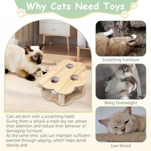 kathson Whack A Mole Cat Toy, Wooden Enrichment for Indoor Cat, Interactive Kitten Puzzle Toy for All Ages Cats Intelligence Training and Exercise (Cloud-Shaped)