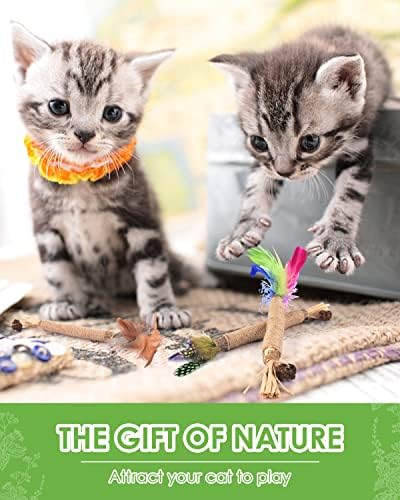 TINDTOP Silvervine Sticks for Cats with Natural Feather, Catnip Chew Toys
