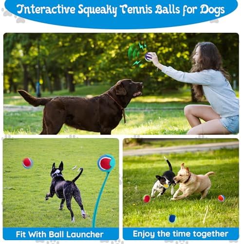 Squeaky Tennis Balls for Dogs - 12 Pack 2.5'' Durable Natural Rubber, Non-Toxic Dog Toy Balls with Mesh Bag for Outdoor Play & Training
