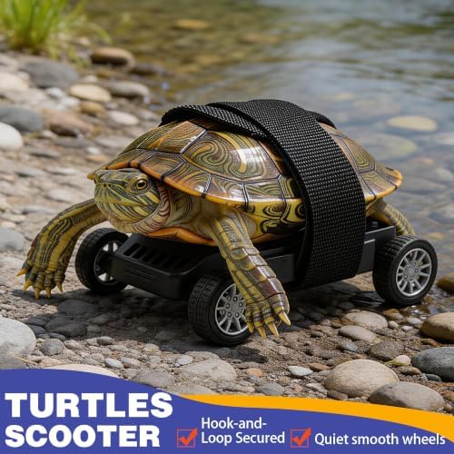 Turtle Skateboard Small Reptile Exercise Toy S