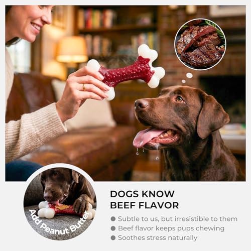 Kseroo 2-Pack Dog Toys for Aggressive Chewers Medium/Large Breed, 8-Inch Solid Nylon Dog Chew Bones, Beef Flavored Tough Dog Toys for 20-90lb Dogs, Red