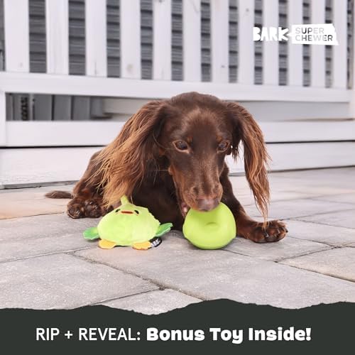 BarkBox Piper Parrot Dog Toy - for Small Dogs