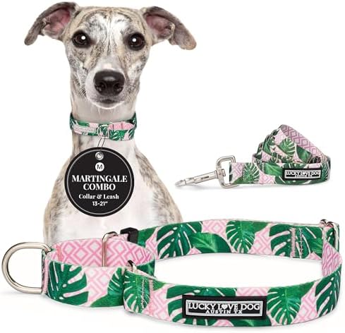 Lucky Love Dog Martingale Collar & Leash Set No Slip Cute – Laguna, Medium