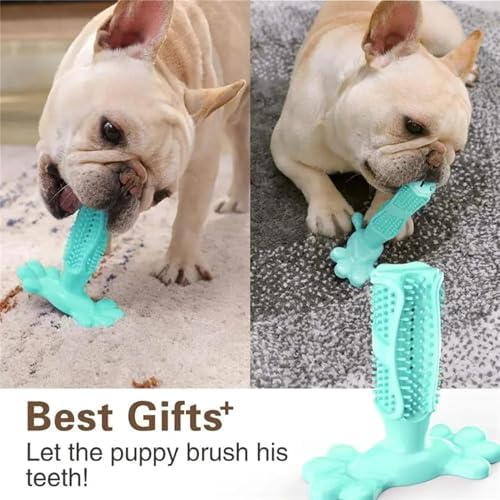 PUPIX Dog Toothbrush Chew Toy with Treat Dispenser, Interactive Dog Toy for Small Medium Dogs, Puppy Teething Toy, Rubber Dog Chew Toy for Dental Cleaning, Dog Teeth Cleaning Toy & Oral Care, Blue, M