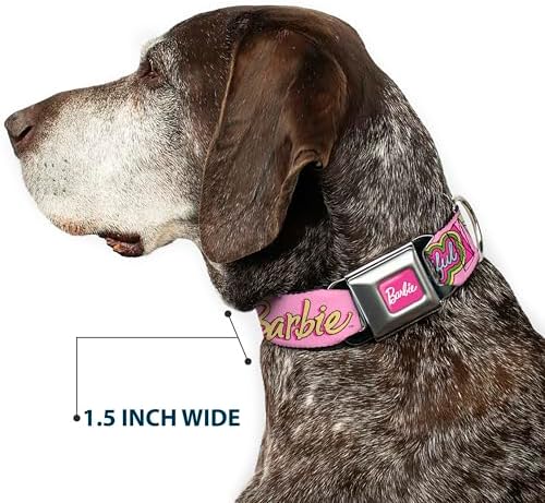 Mattel Pet Collar, Dog Collar Metal Seatbelt Buckle, Barbie Smart Beautiful Strong Icons Pink Multi Color, 16 to 23 Inches 1.5 Inch Wide