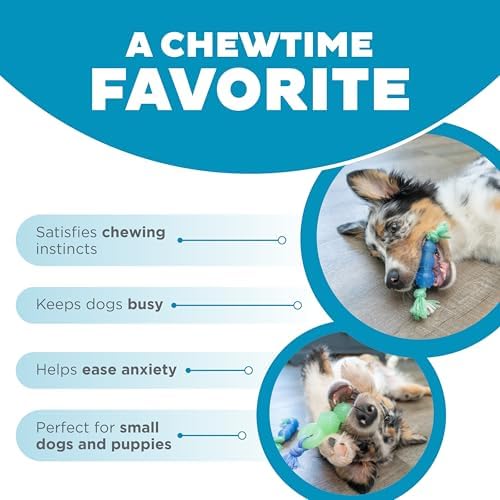 Mini Dentachew Dental Dog Chew Toys, 5-8", 3-Pack