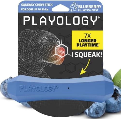 Playology Squeaky Chew Stick - Scented Dog Toy - Medium, Blueberry Scent