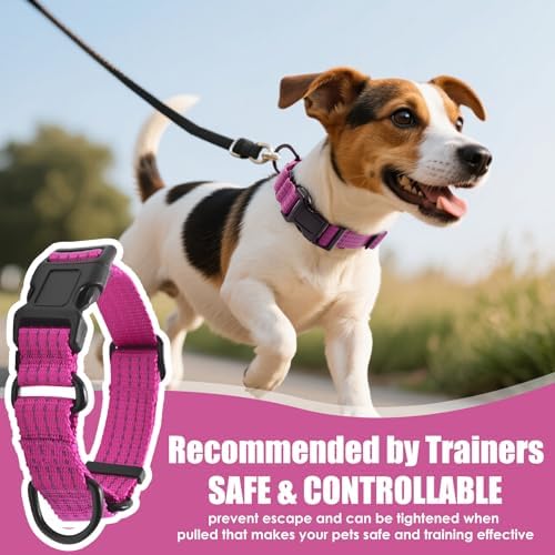 Martingale Dog Collar, Reflective No Pull with Buckle, Hot Pink, L