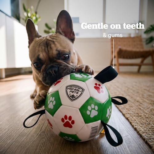 Maccabi Interactive Dog Soccer Ball for Dogs, 6” with Straps & Grab Tabs, Floats on Water, Fetch & Training Toy for Small/Medium Dogs, Herding Breeds, Waterproof Non-Toxic – ProBall Pets – Green Red