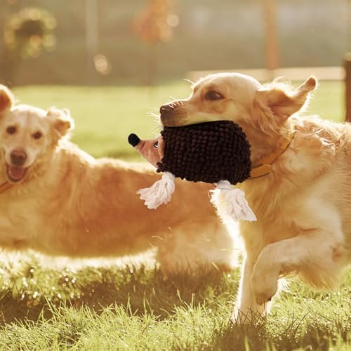 Dog Squeaky Toys for Dogs - Hedgehog Mop Plush Interactive Rope Toy, Durable Chew Toy with Squeaker and Crinkle for Small to Large Dogs, Tug of War Pet Toy for Puppies & Aggressive Chewers