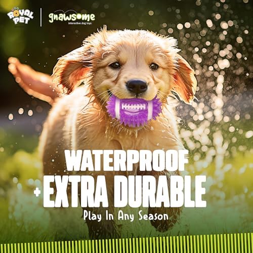 Gnawsome Dog Toys - 3.5" Spiky Squeak & Light Football - Small - Dental & Gum Wellness - Stimulating Fun - Hidden Squeaker - Durable for Heavy Chewers - 100% BPA-Free - Assorted Colors