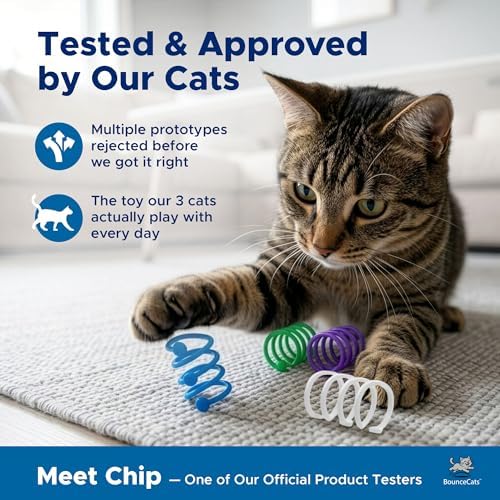 Cat Spring Toys, Family Made in the USA, Set of 4